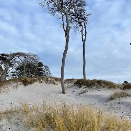 Wolffsbau Apartman Prerow