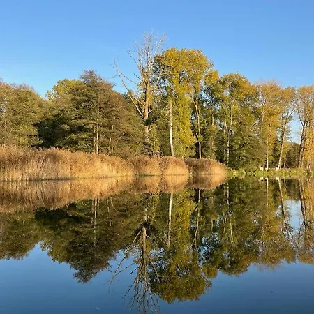 Wolffsbau Apartman Prerow