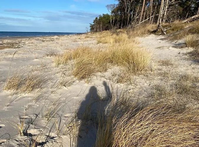 Wolffsbau * 프레로