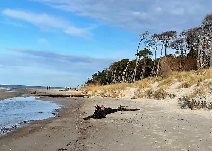 Wolffsbau * 프레로