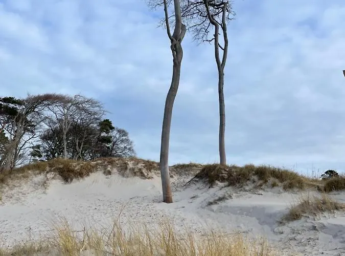 Wolffsbau 아파트 프레로