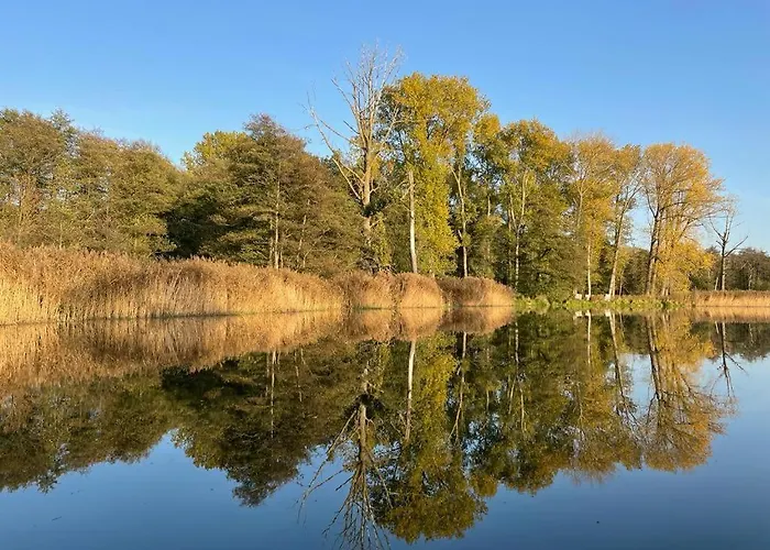 Wolffsbau 아파트 프레로