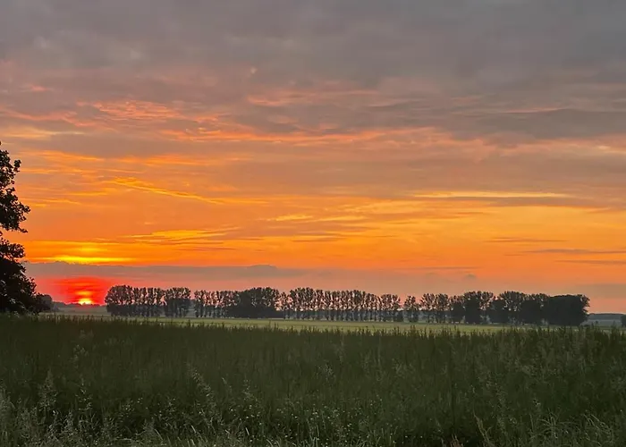 Wolffsbau * 프레로