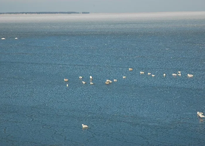 Wolffsbau * 프레로